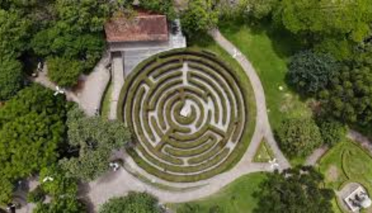 Design sem nome (25)