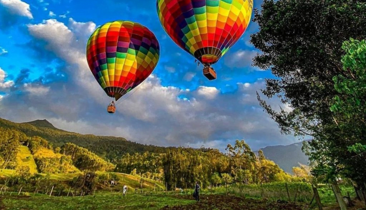 Design sem nome (29)